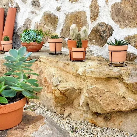 منزل للإقامة Casa Da Roca